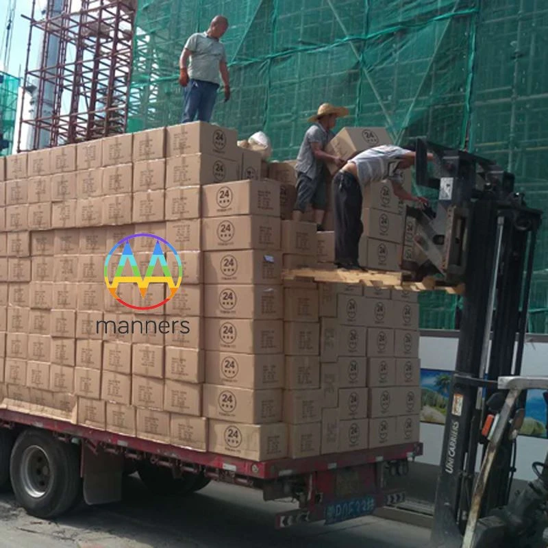 La comanda del client d'Irlanda de 10.500 peces d'agulles de punció dural esp...