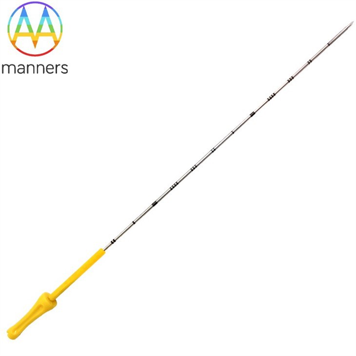 Particle Implant Needle For Cancer Treatment